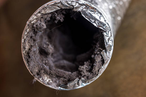 HVAC System Cleaning in Lake Dunlap, TX